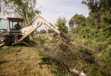 36 toneladas de residuos retiradas del canal Maestro Sur