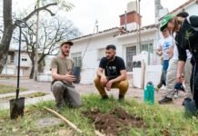 GeTAU ya está activa: una aplicación participativa que trabaja en la gestión del arbolado urbano