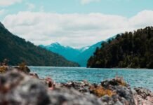 Balance del Cyber Monday para Despegar: compras anticipadas y nuevas formas de pago