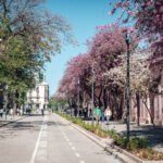 Con avances en infraestructura, patrimonio y ecología en el Área Central, finaliza la ejecución del programa Respira Córdoba