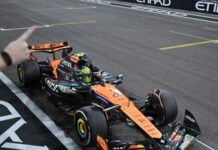 Del Potro alentó a Max Verstappen y pidió por Checo Pérez