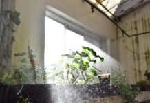 Alerta amarilla por aumento de la temperatura: cómo cuidarse en casa