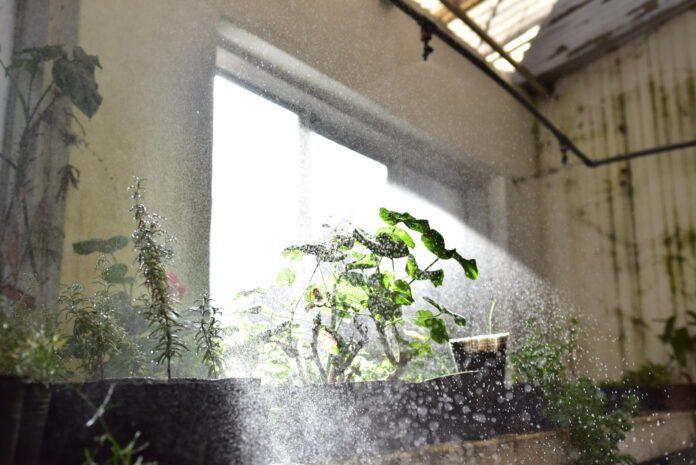 Alerta amarilla por aumento de la temperatura: cómo cuidarse en casa