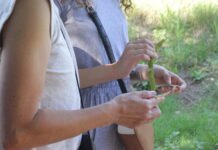 Caminatas de Recolección de Semillas Nativas en la Reserva Natural Urbana General San Martín