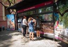 Caminatas y recorridos guiados todos los días de enero