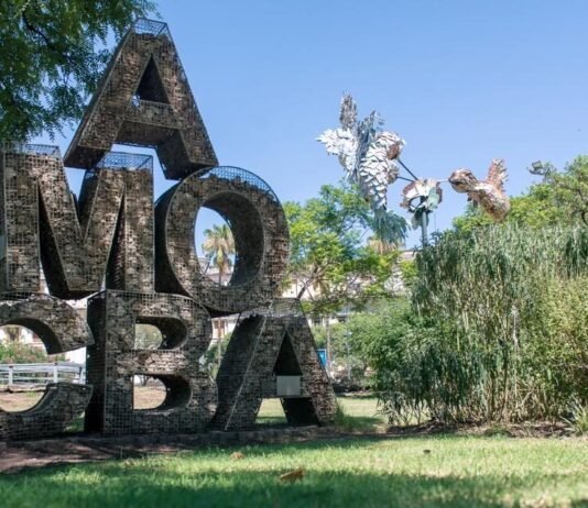 Recorridos guiados: miércoles por las áreas verdes del centro y jueves ascenso al campanario de la Catedral