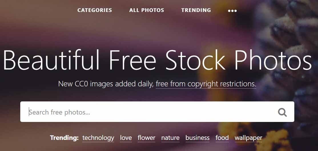 Buscador de imágenes de StockSnap, con un sistema de etiquetas y tendencias para descubrir nuevo contenido bajo licencia CC0