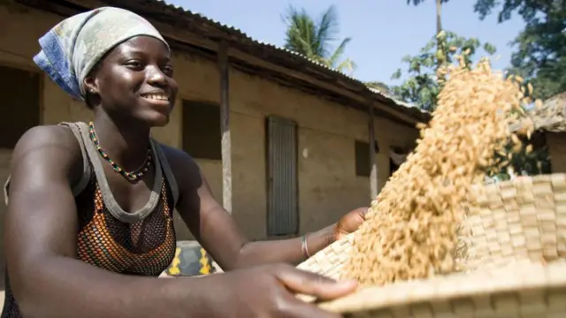 Una joven usa una cesta tradicional para aventar y limpiar el arroz integral en la aldea de Berending, Gambia.