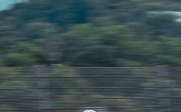 Moto3 en Hungría: Valentín Perrone y Marco Morelli tuvieron un buen viernes y avanzaron a la Q2
