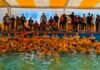 Continúan abiertas las inscripciones para participar del Curso gratuito de Formador Deportivo en Natación