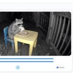 El detector de contenido con IA de Google llega a todo el mundo