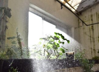 Alerta amarilla por aumento de la temperatura: cómo cuidarse en casa