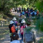Caminata guiada por la Reserva Natural Urbana General San Martín