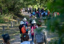 Caminata guiada por la Reserva Natural Urbana General San Martín