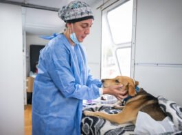 Desde mañana, vecinos podrán reservar turnos para castraciones de animales de compañía en el CPC Ruta 20