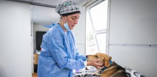 Desde mañana, vecinos podrán reservar turnos para castraciones de animales de compañía en el CPC Ruta 20