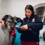 Este viernes habrá vacunación antirrábica gratuita para perros y gatos en barrio Argüello Norte