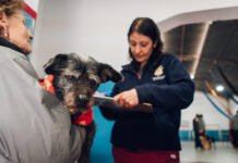 Este viernes habrá vacunación antirrábica gratuita para perros y gatos en barrio Argüello Norte