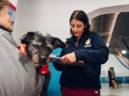 Este viernes habrá vacunación antirrábica gratuita para perros y gatos en barrio Argüello Norte