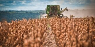 ¿Más caro o más competitivo? El mapa de costos del agro argentino frente a la región