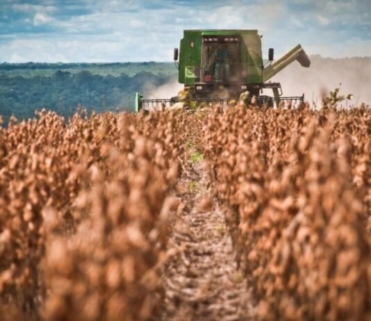 ¿Más caro o más competitivo? El mapa de costos del agro argentino frente a la región