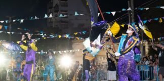 Nuevo Rosedal, Villa Azalais, Alta Córdoba, Alto Alberdi, San Vicente y Villa Urquiza vivieron un fin de semana a puro carnaval